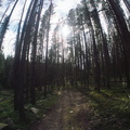 Baker Gulch Trail